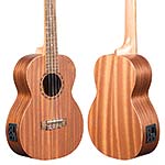 Echo Bridge EB10 Tenor Ukulele with Pickup and Gig Bag