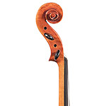 15 1/2" Alessandro Firenze A450 Viola Outfit