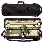 4/4 Alessandro Roma A220G Violin Outfit