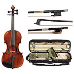 4/4 Alessandro Roma A220G Violin Outfit