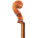4/4 Snow Simona Violin