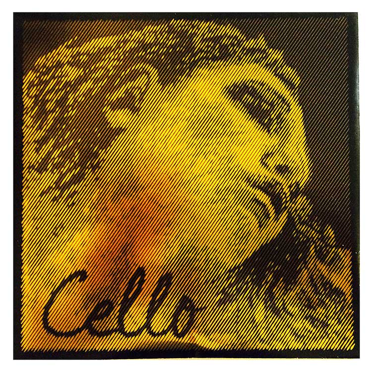 Evah Pirazzi Gold Cello String Set