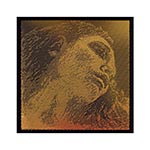 Evah Pirazzi Gold Violin D String - Silver/Synthetic: Medium with Ball End