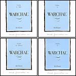 Warchal Brilliant Violin String Set with Silver D and ball end E
