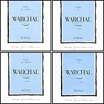 Warchal Brilliant Violin String Set with Silver D and loop end E