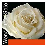 Wondertone Solo Violin E String - Advanced steel: Med., ball end