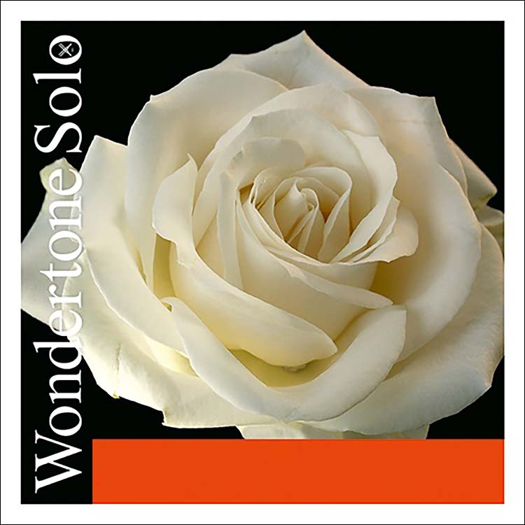 Wondertone Solo Violin E String - silvery steel: Med., loop end