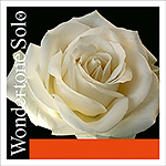 Wondertone Solo Violin A String - aluminum/synthetic: Med.
