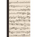 Journal: Lined Paper - Manuscript Cover 5 1/4" x 8 1/4"