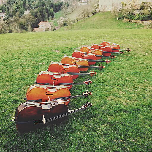 Nine cellos laying in a grassy field