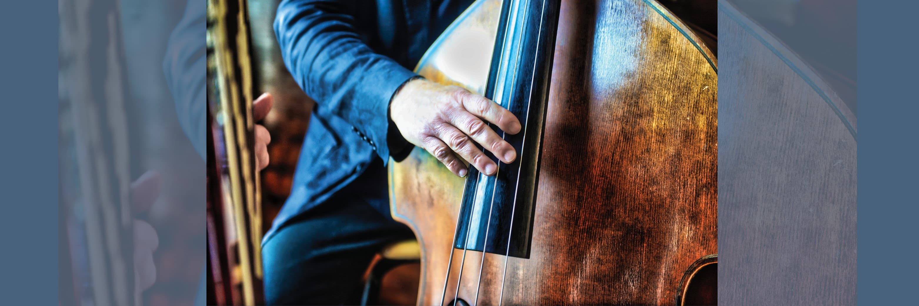 Musician playing a double bass, close-up of hand on fingerboard