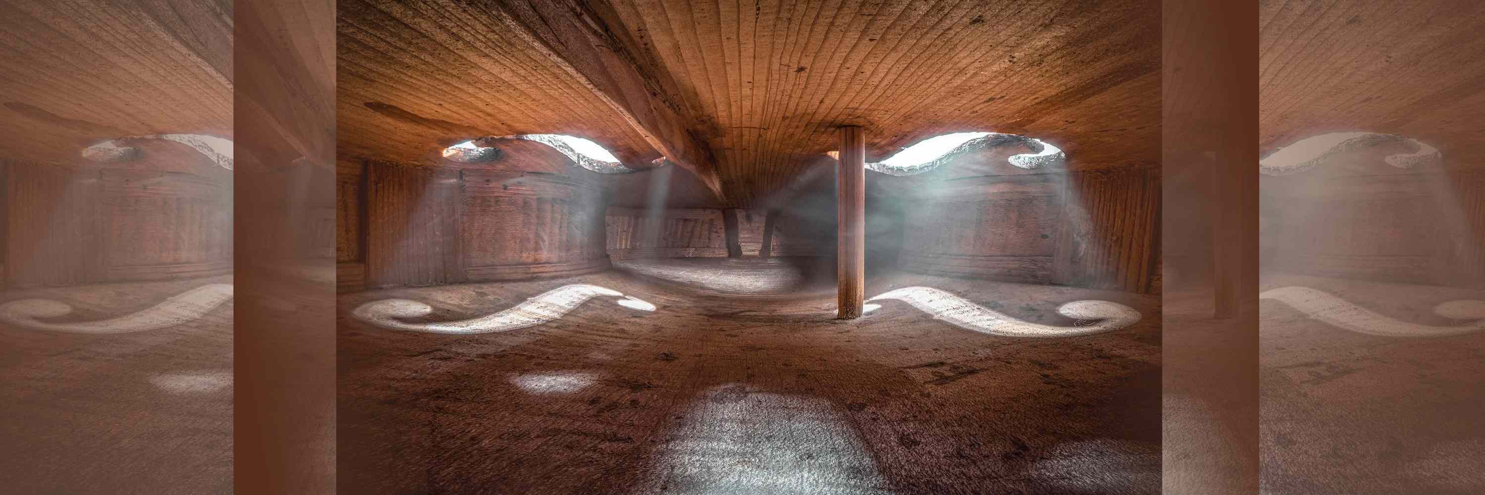 The Science Behind Violin Sound Production | Johnson String Instrument