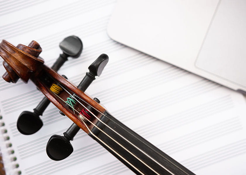 neck and scroll of a violin