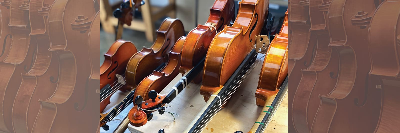 Violins awaiting setup and adjustment in a workshop