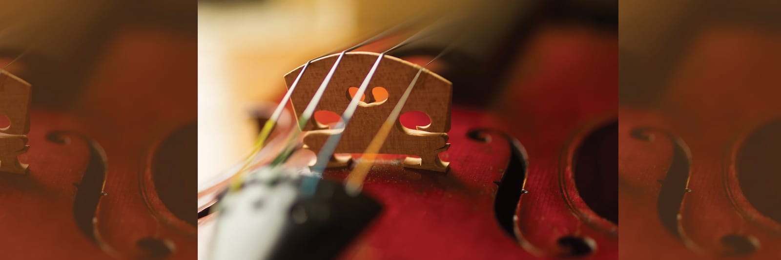 Close-up of a violin bridge with strings in soft warm light