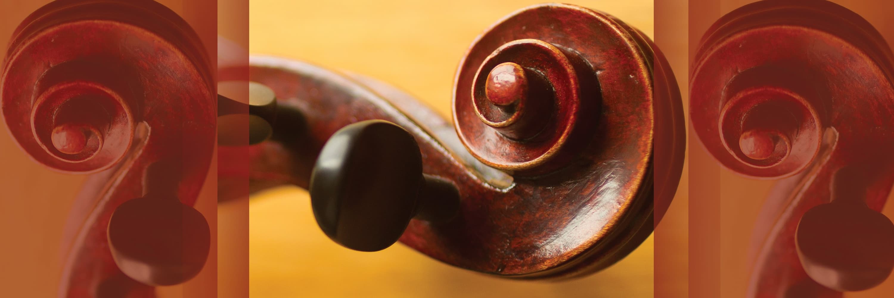 Close-up of a violin scroll and tuning pegs in warm light