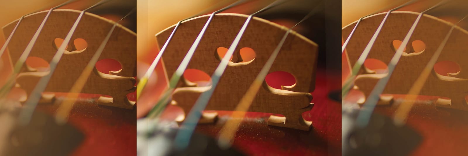 Close-up of violin strings crossing over the bridge, a common point of wear and breakage