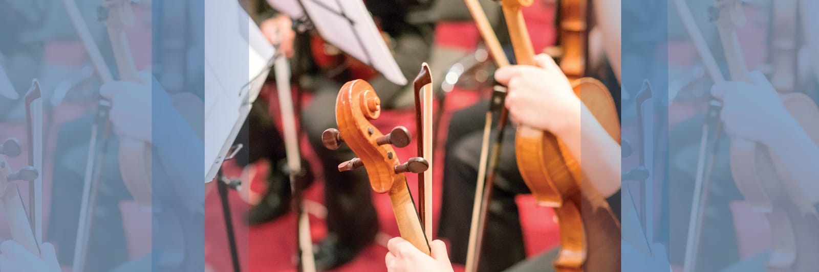 Close-up of musicians playing string instruments in an orchestra with red carpet background