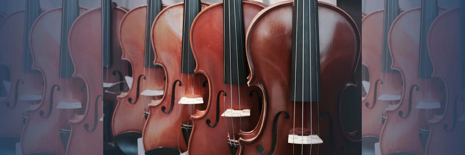Rows of low-cost violins on display in an online shop listing