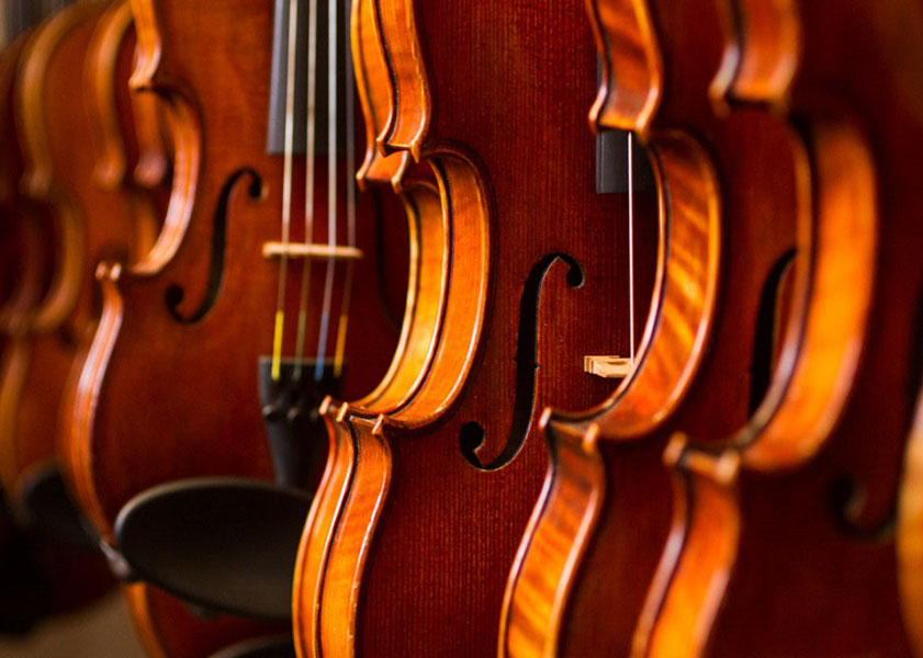 violins on a rack