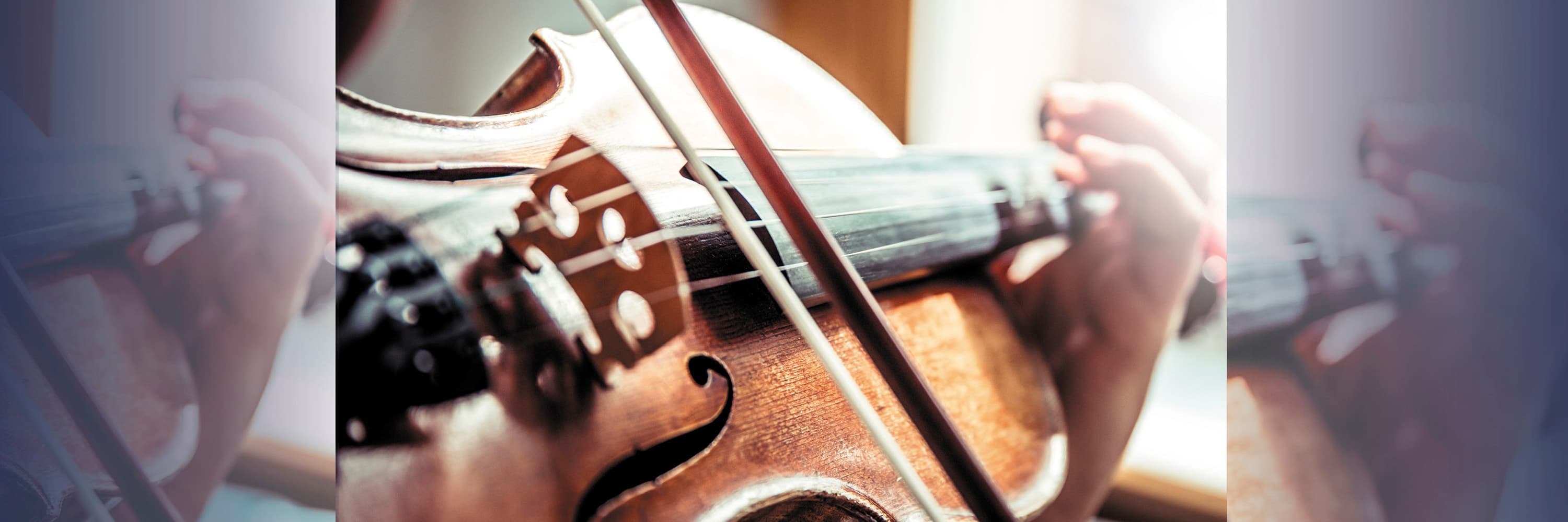 Close-up of a person playing a violin with a bow under natural light