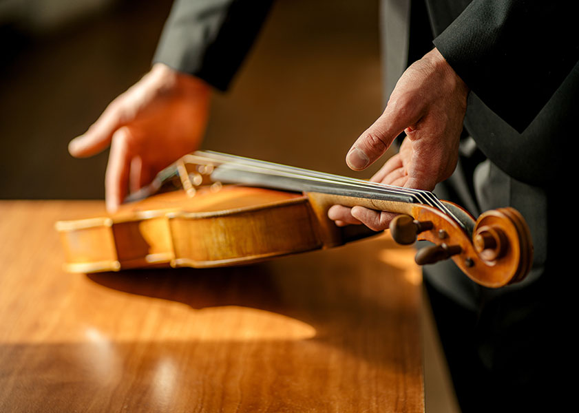 person appraising a violin