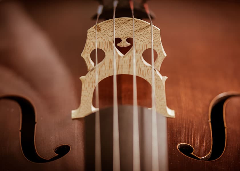 a cello bridge