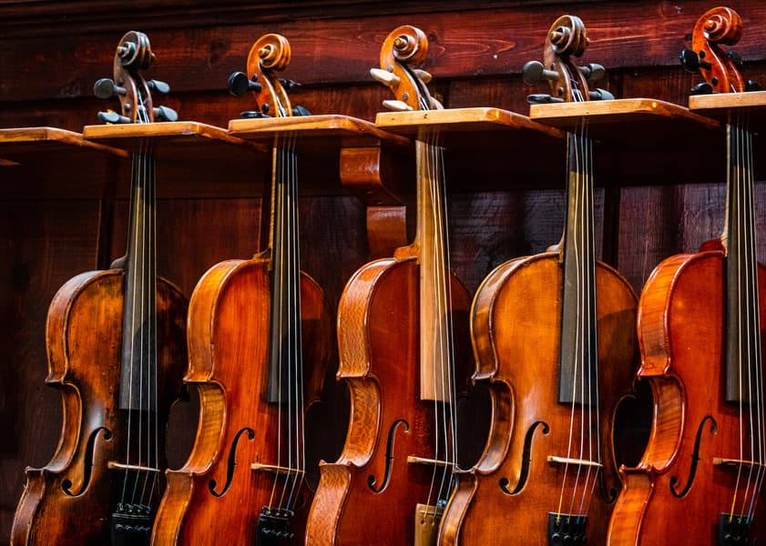 Row of violins hanging on a wooden rack