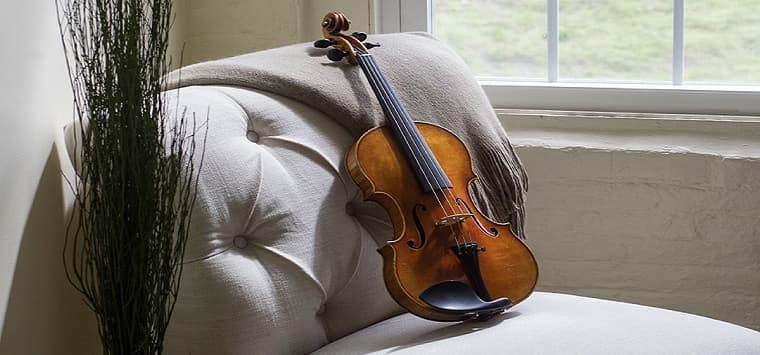 Violin set on a chair in front of a window