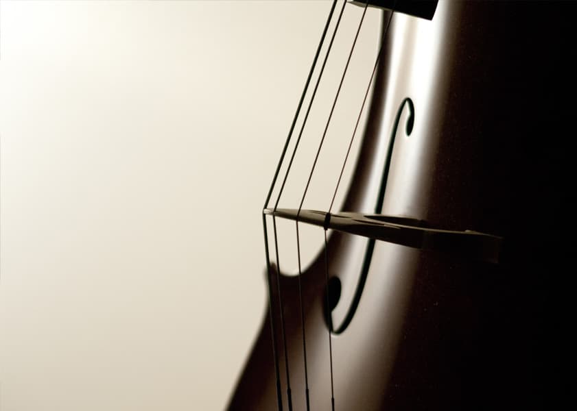 closeup of a violin bridge