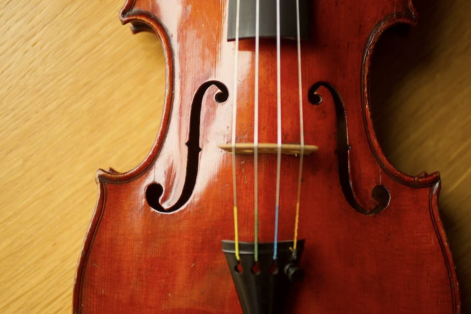 Berettigelse Afdæk mikroskop How Violin Strings Are Made Today | Johnson String Instrument