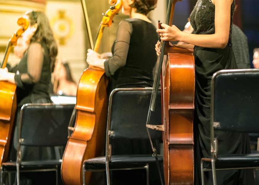 people standing with their cellos