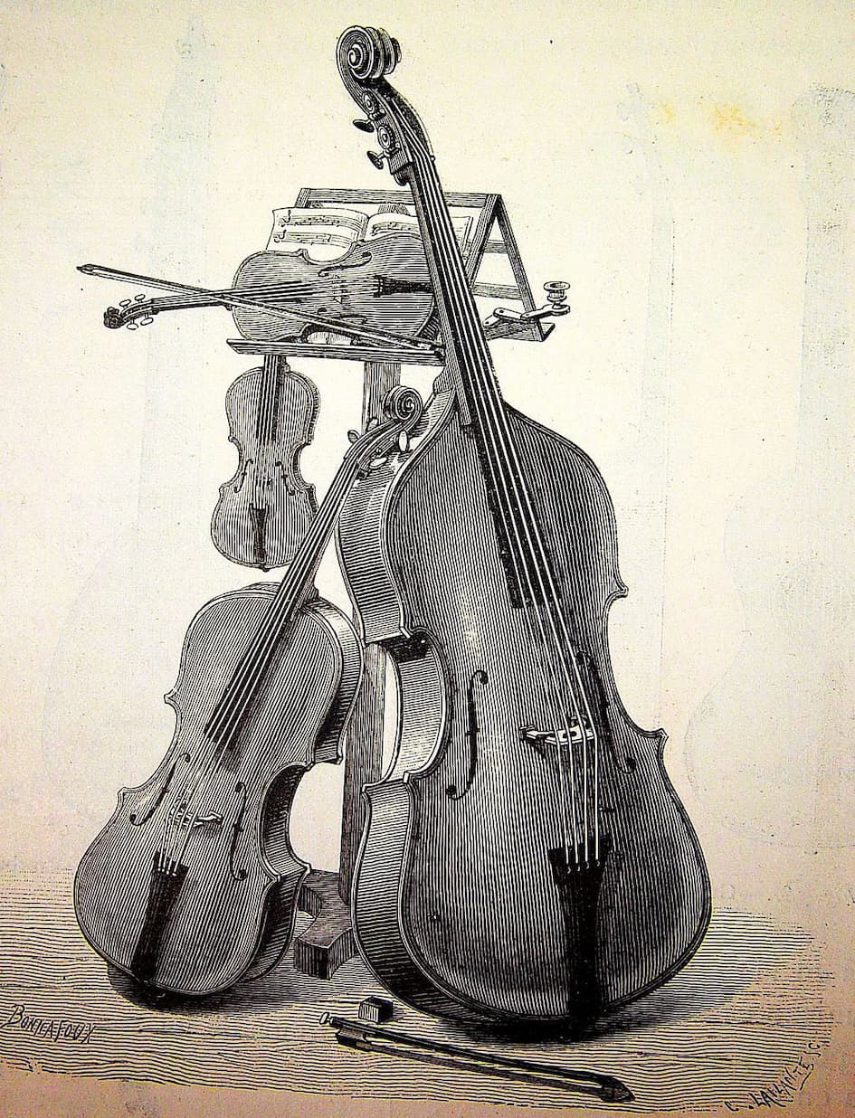 Violin vs. Viola vs. vs. | String Instrument