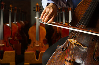 Instruments and Bows for Music Students